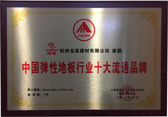 中国弹性地板行业十大流通品牌