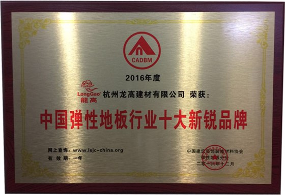 中国弹性地板行业十大新锐品牌1