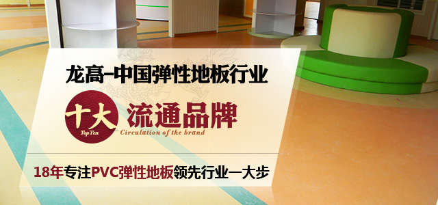 龙高，中国弹性地板行业
十大流通品牌